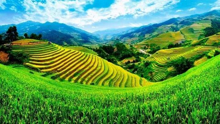 Cơ hội Vàng: Đầu tư An toàn vào Thị trường Video Ngắn cùng Hotspot Matrix